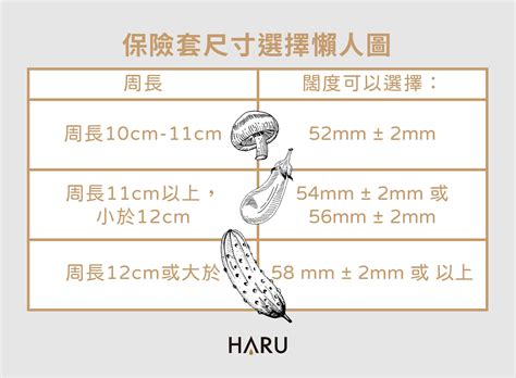 闊度尺下載|安全套尺寸指南 